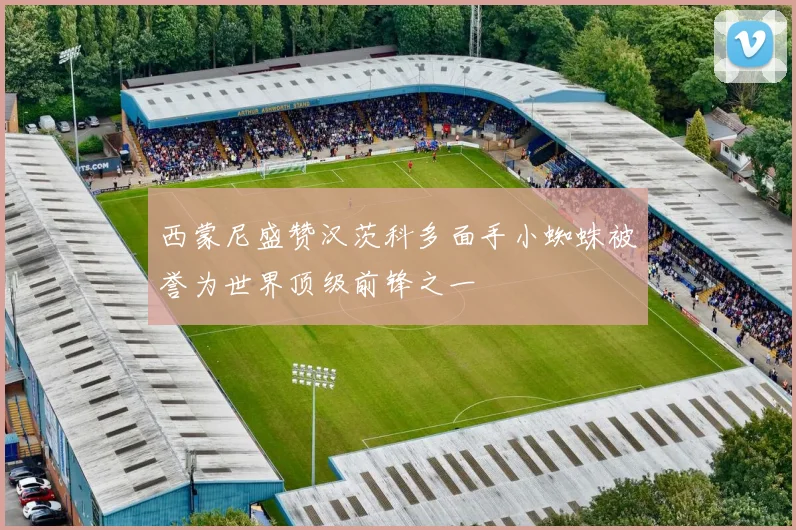 西蒙尼盛赞汉茨科多面手小蜘蛛被誉为世界顶级前锋之一